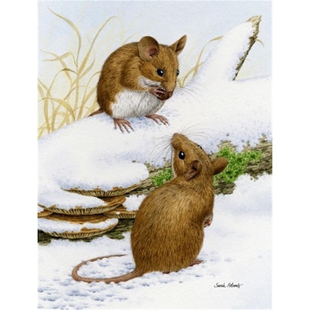 Carolines Treasures Wood Mice Wood Mouse Flag Canvas House Size ASA2027CHF